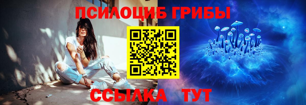 Альметьевск  Псилоцибиновые грибы Cubensis  Вход с VPN 